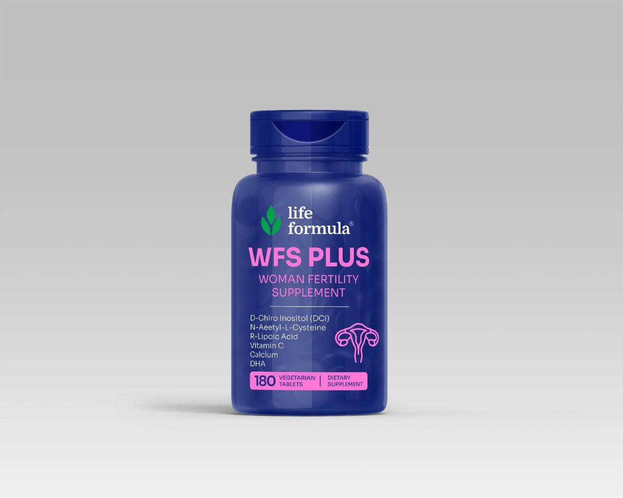 WFS Plus